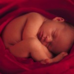 bebe-no-nacido