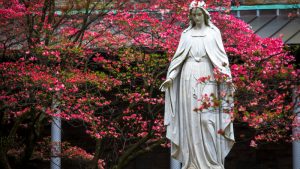 EEUU virgen maria peru catolico