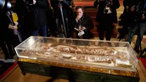 san francisco de asis